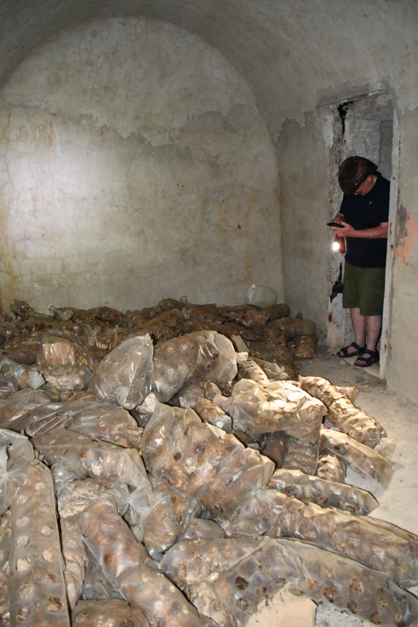 Plastic bags in first room